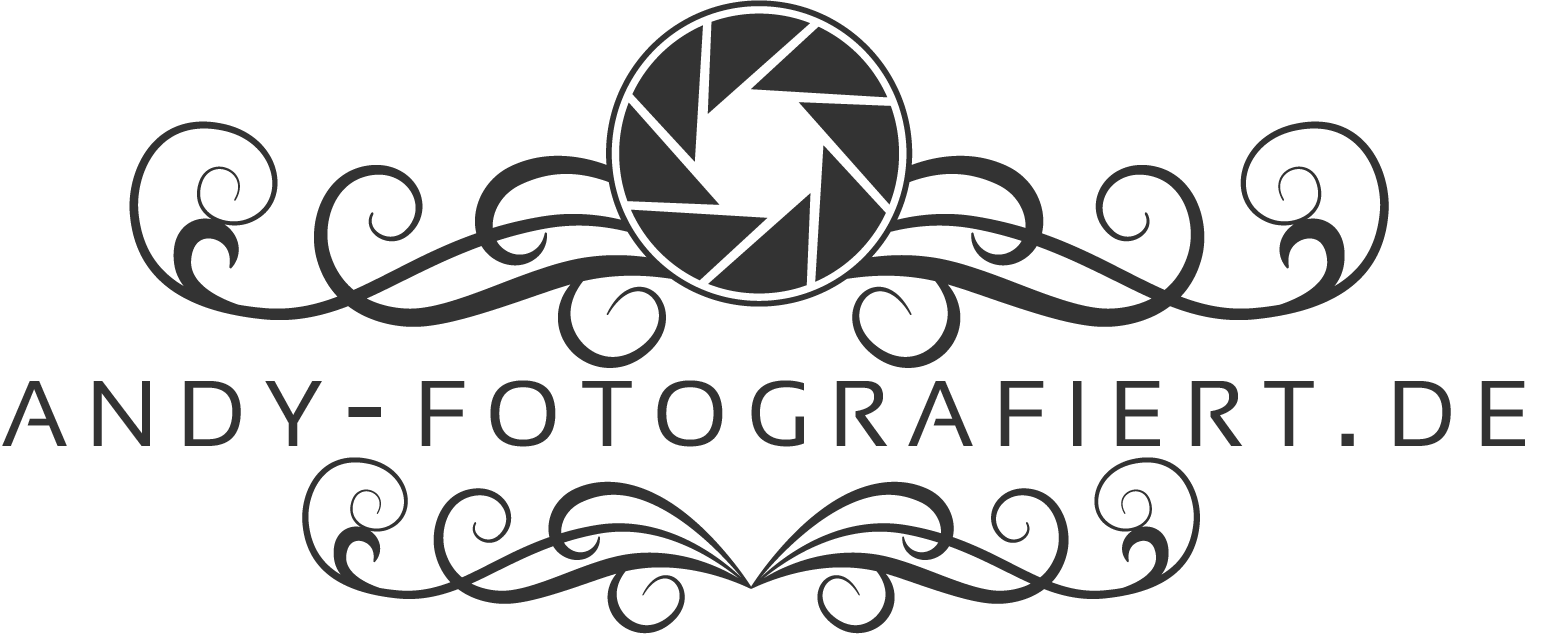 Andy fotografiert